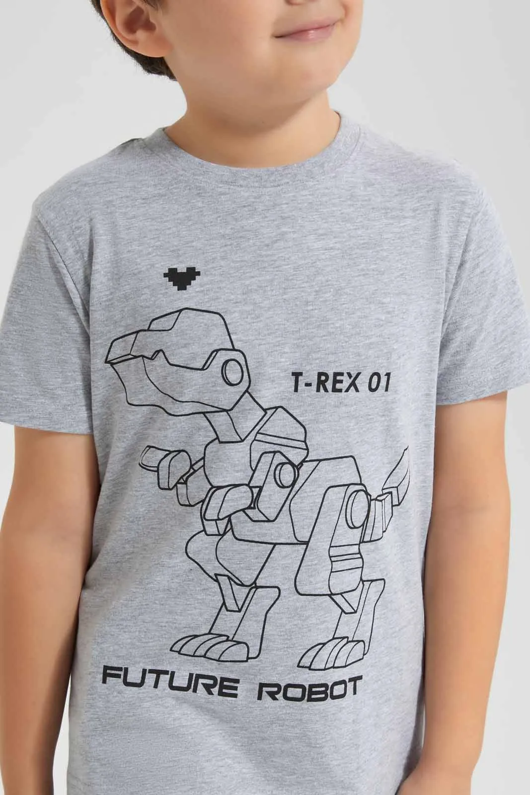 Boys Grey Dino Print T-Shirt