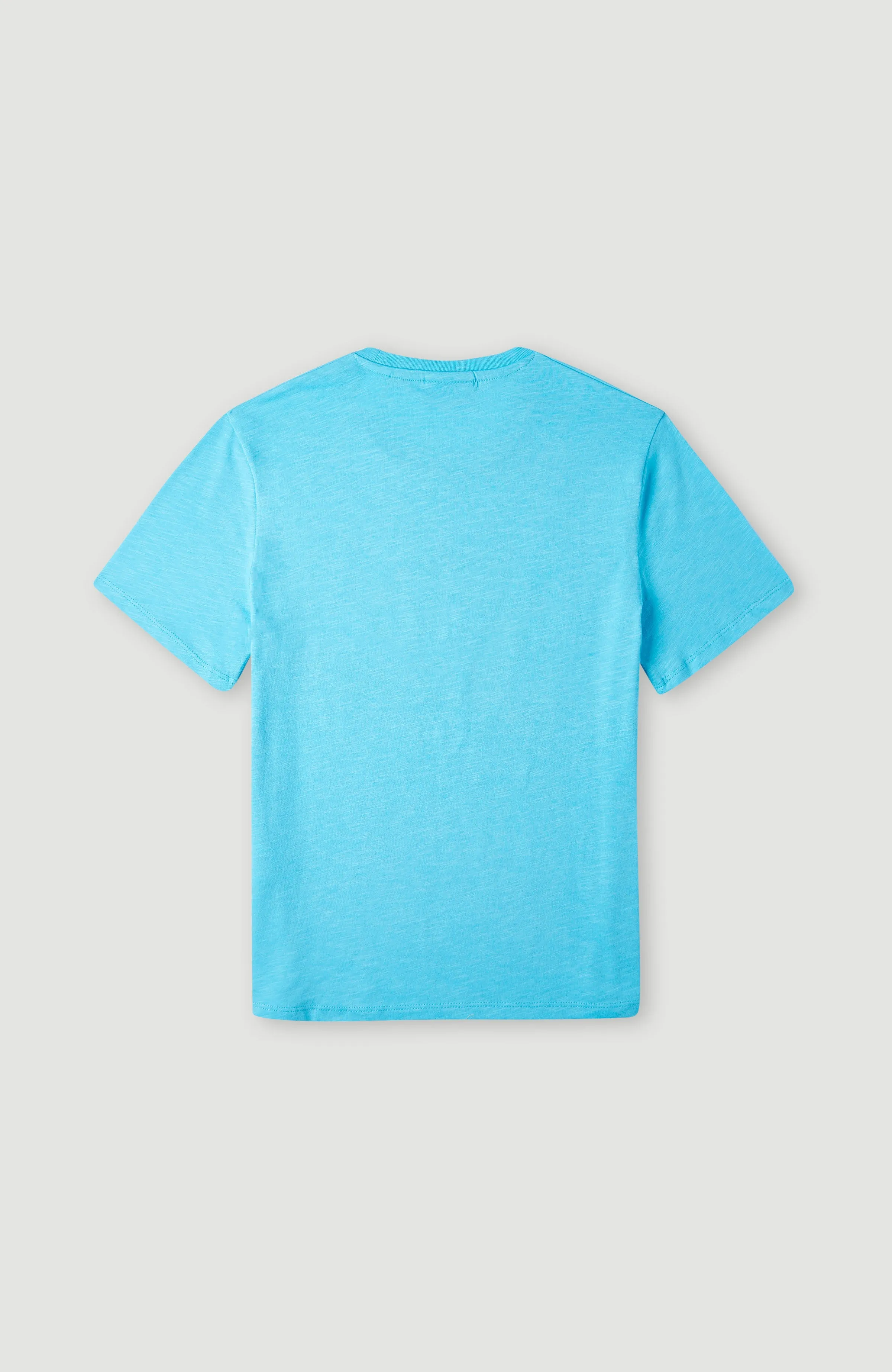 Circle Surfer T-Shirt | Bachelor Button