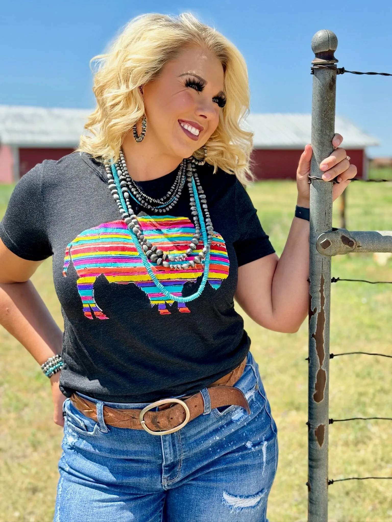 Serape Buffalo Tee